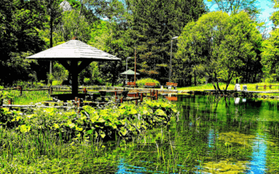 Soko Banja – Soko grad