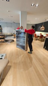 Seliba velikog stana